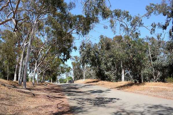 DSC 0494