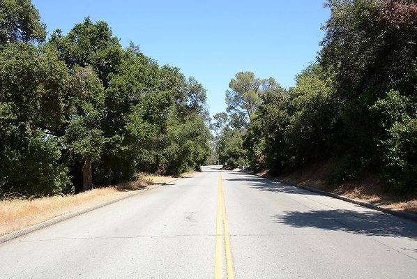 DSC 0558