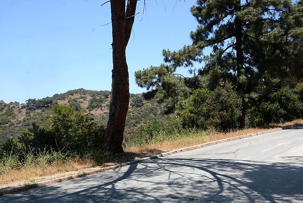 DSC 0321