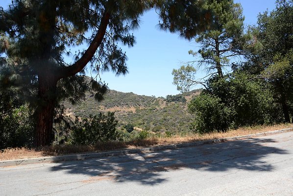DSC 0325