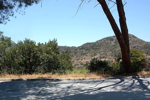 DSC 0347