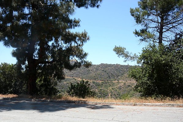 DSC 0346