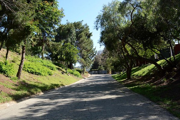 DSC 0617