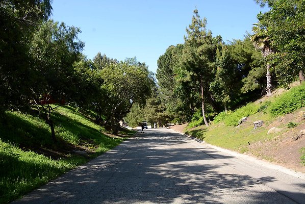 DSC 0624