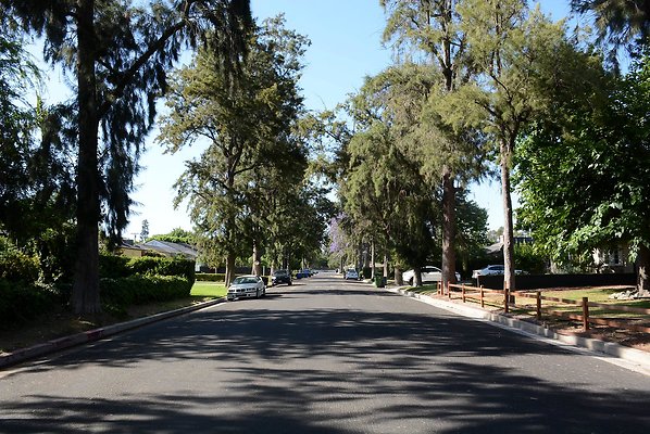 DSC 1104