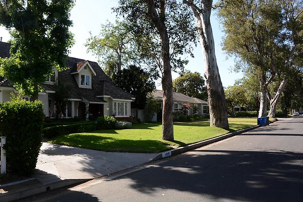 DSC 1095