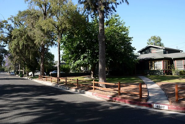 DSC 1106