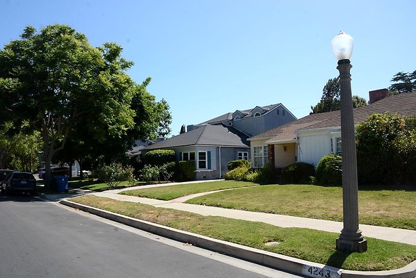 DSC 0900
