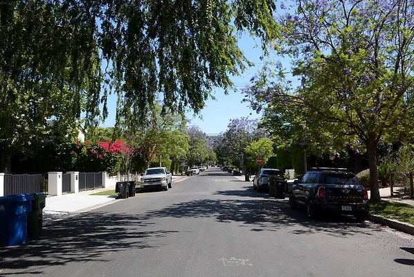 DSC 0919