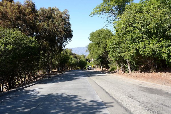 DSC 0748