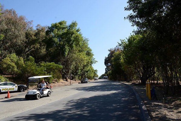 DSC 0720