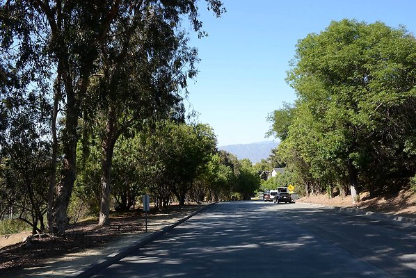 DSC 0750
