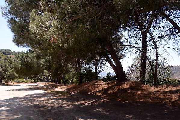 Mt Hollywood Dr, approx. 1.3 mi from gate - Griffith Park