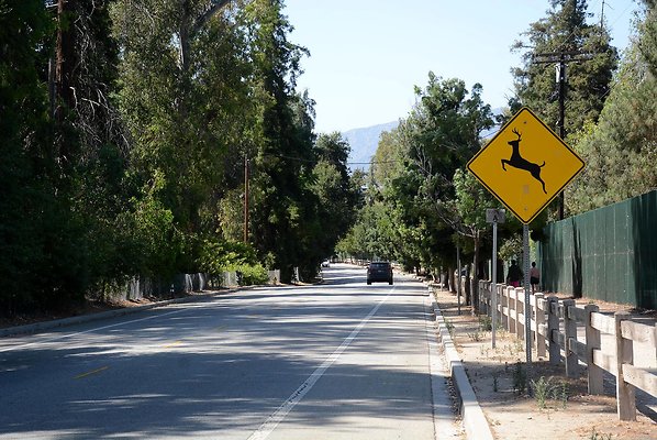 Crystal Springs Dr, north of Griffith Park Dr (Not fully cleared)