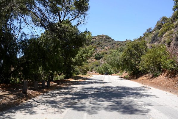 Mt Hollywood Dr, approx. 1.2 mi from gate - Griffith Park