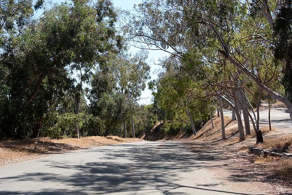 Vista Del Valle below Joe Klass Water Stop - Griffith Park