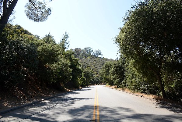 Griffith Park Dr, south of Camp Rd - Griffith Park