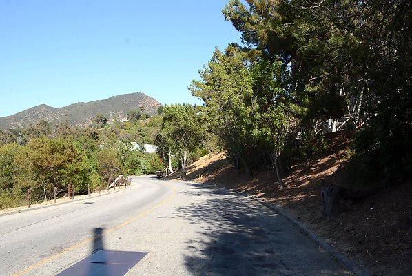 DSC 0698