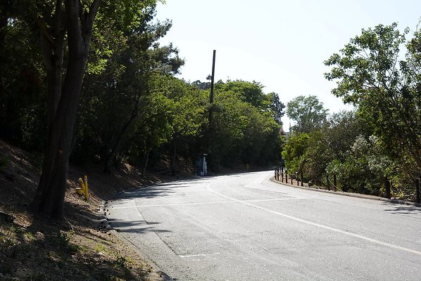 DSC 0702