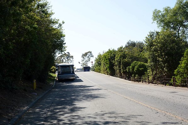 DSC 0694