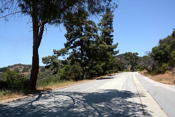Mt Hollywood Dr, approx. 3:4 mi from gate - Griffith Park
