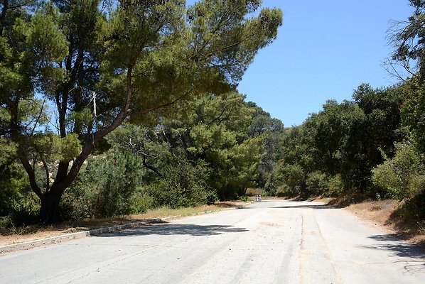 Mt Hollywood Dr, approx. .8 mi from gate - Griffith Park