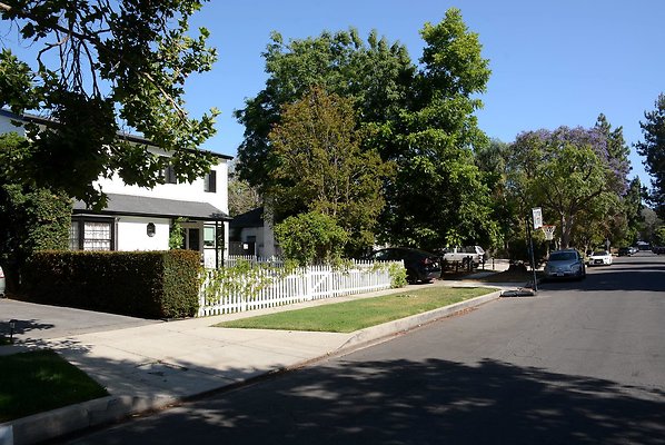 DSC 1018