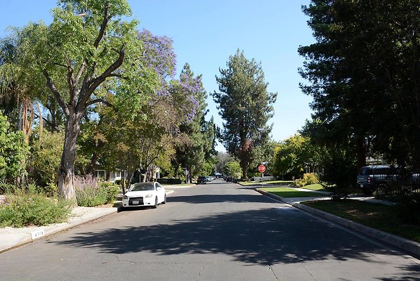 DSC 1021