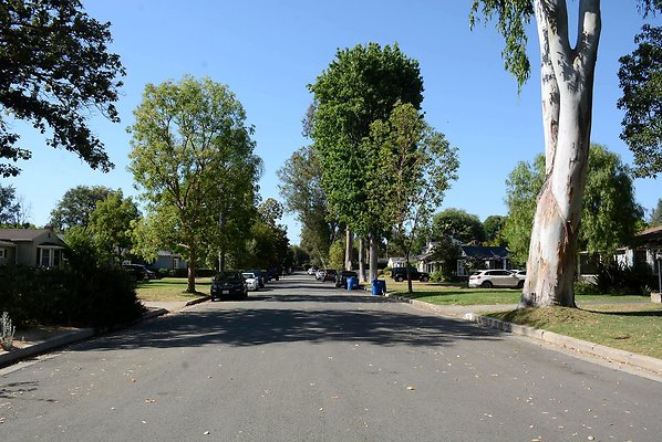 DSC 1065