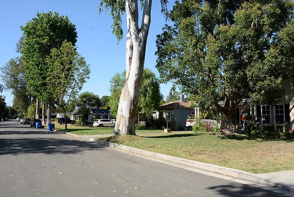 DSC 1064