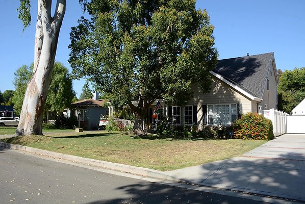DSC 1063