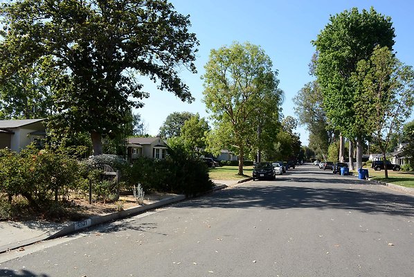 DSC 1066