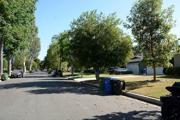 DSC 1051