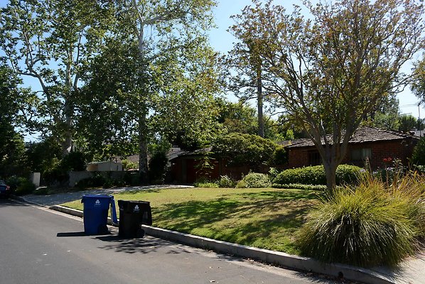DSC 0978