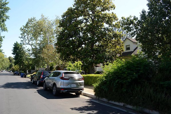 DSC 0968