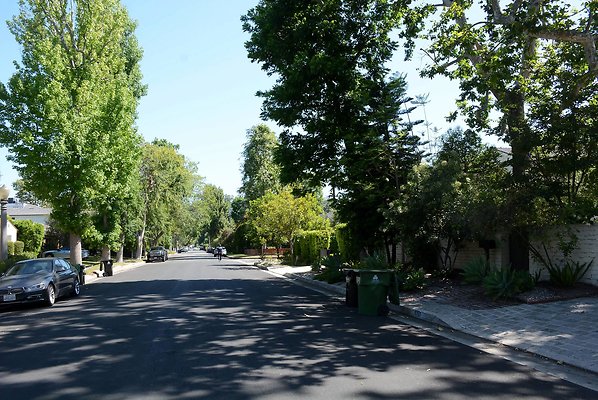 DSC 0982