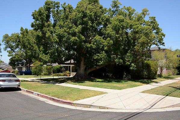 DSC 0800