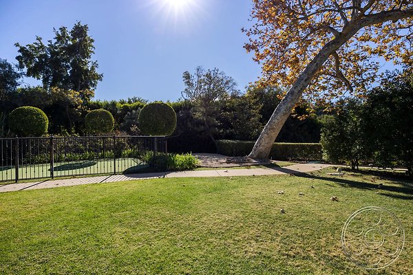 walt-disney-estate-45 walt-disney-estate-45