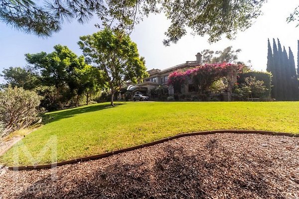 meyler 3849 010 meyler 3849 010