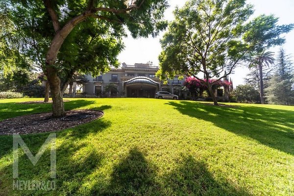 meyler 3849 009 icon meyler 3849 009 icon