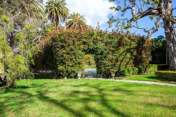 UNIVERSAL-D245-HP-25