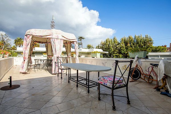 UNIVERSAL-D245-HP-18