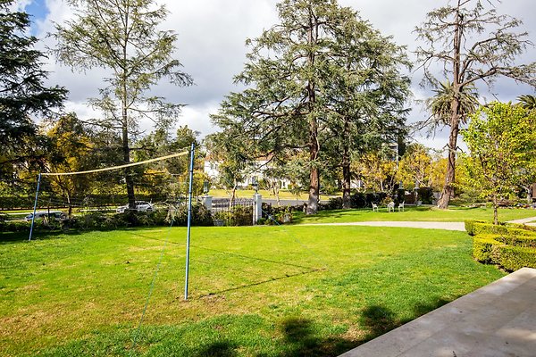 UNIVERSAL-D245-HP-22