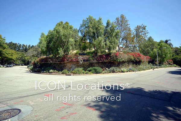 MA613 068ICON MA613 068ICON