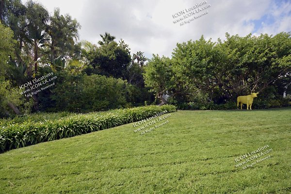 COLO2038 107 COLO2038 107