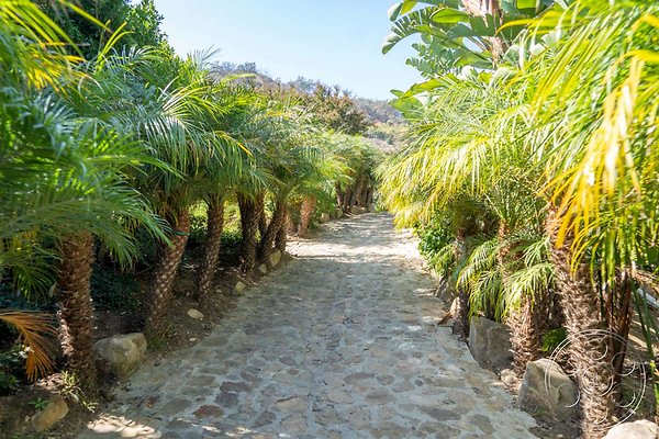 lakeside-mansion-103