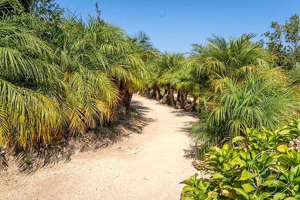 lakeside-mansion-100